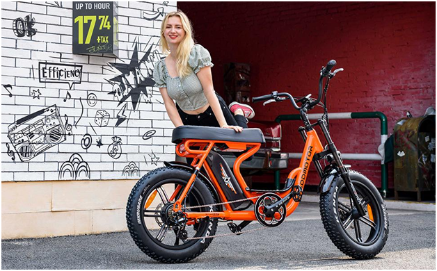 Commuter Electric Bicycle