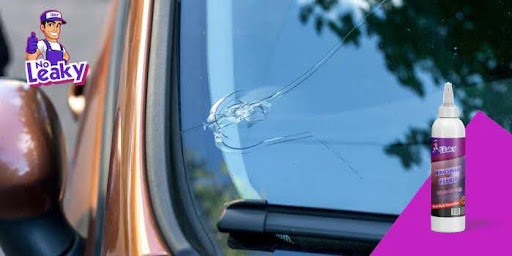choose windshield repair